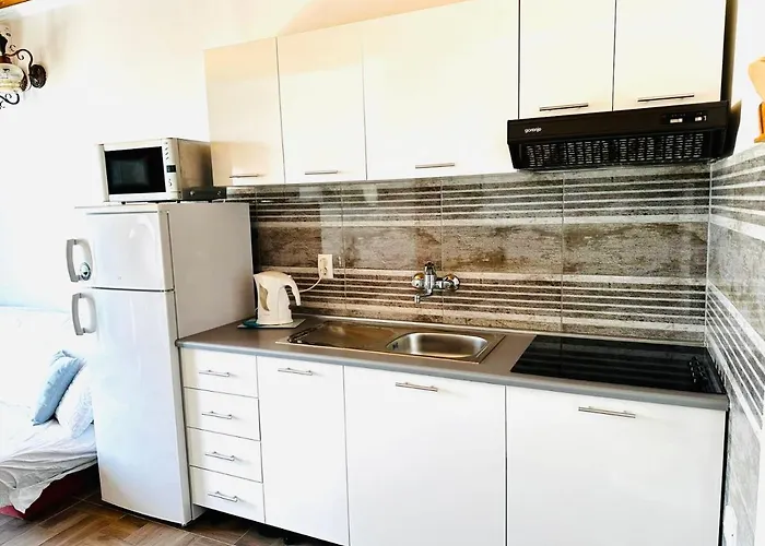 Bilogora & וודיצה